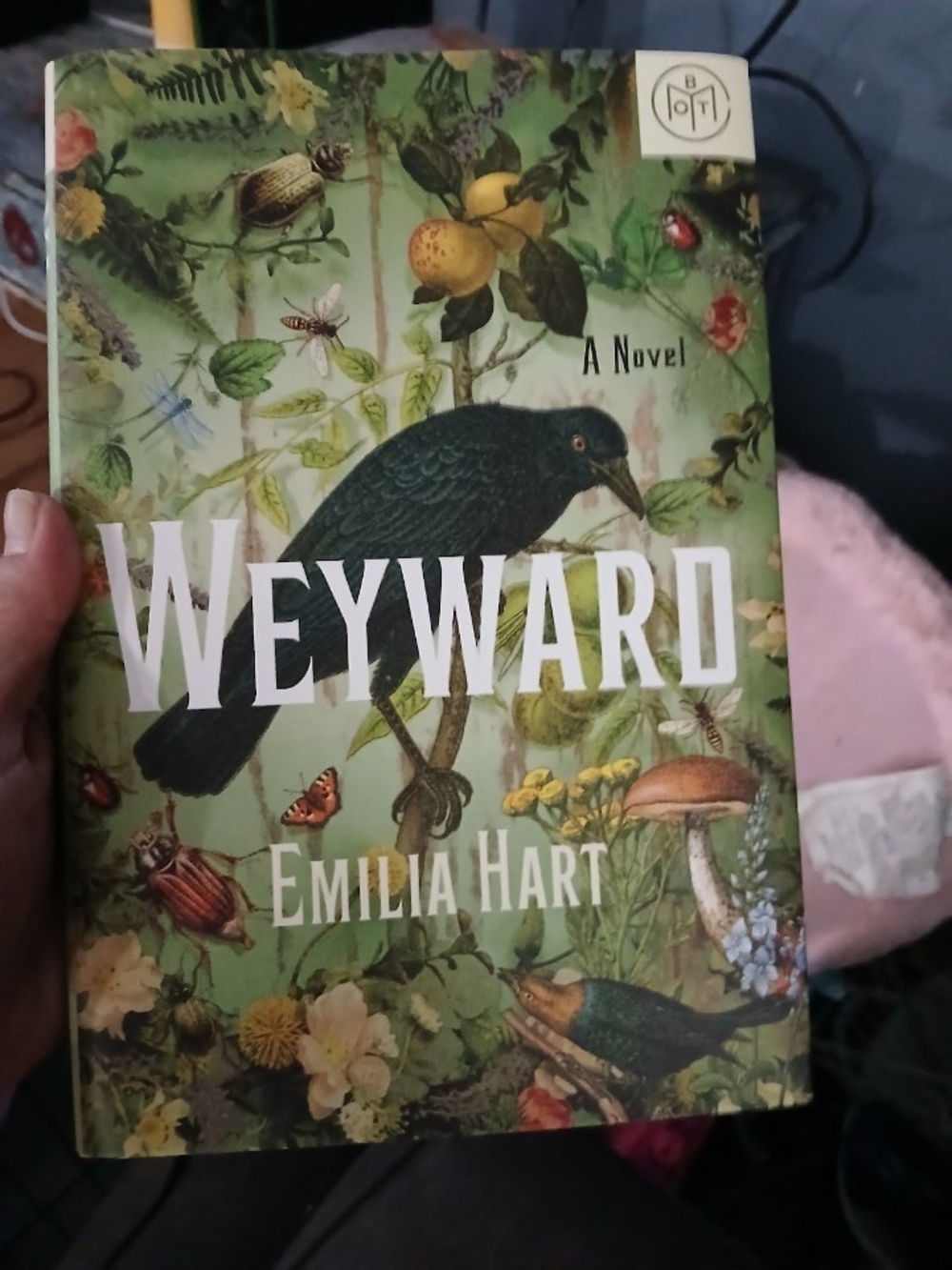 Wayward A Novel By Emilia Hart